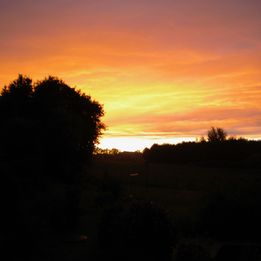 picture-26009